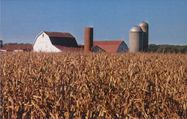This postcard image depicts an American Midwestern Farm.  The original matted (perfect for framing) card is for sale in The unltd.com Store.